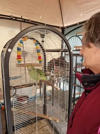 20241024_110922 - kopie