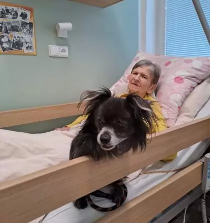 2e8f65cb-e074-446e-952b-5262c51bf7dc