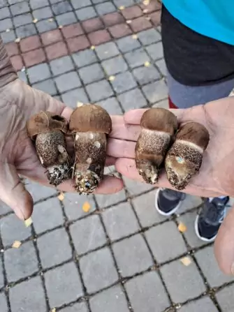 39987896-b6d9-4f50-bd9d-e82d8f3c3764