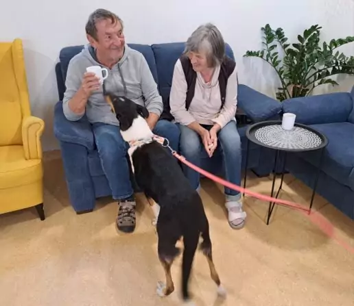 3dac9a6a-56c5-40b6-8594-d782e383d52a