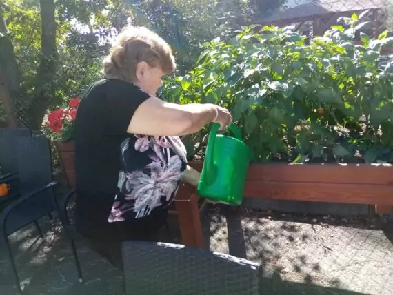 458149699_924187943081574_1412222036750350575_n