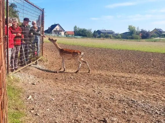 462078370_516621961080797_2764221899402965341_n