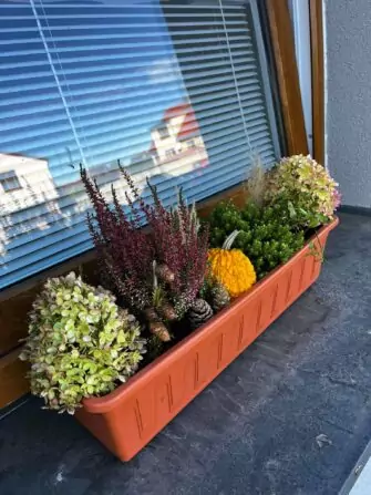 462092696_534905716160399_38607372103563769_n