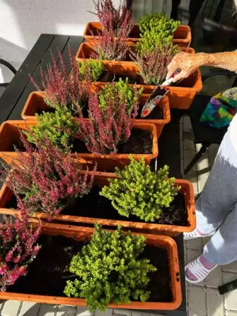 462254835_3336072676525002_8384480702295364350_n