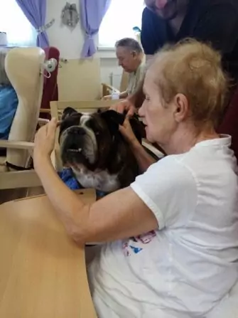 462306219_951741790326189_9200592546238188034_n