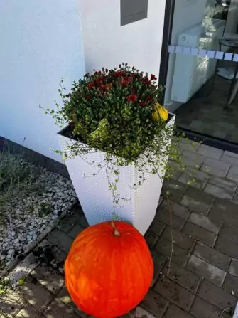 462534259_8820021391343768_3338192579113146020_n