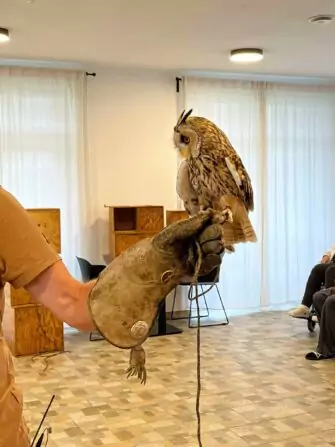 462536994_551135484179484_5612309267368804356_n