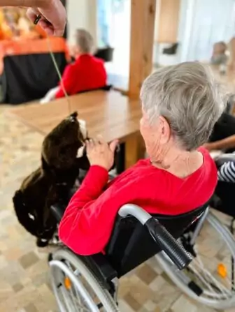 462539713_564588412780885_3885720054455916896_n