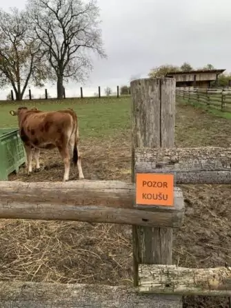 462540760_1932020570624371_7197320245417688789_n