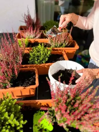 462542204_1238483413969528_416280750640175305_n