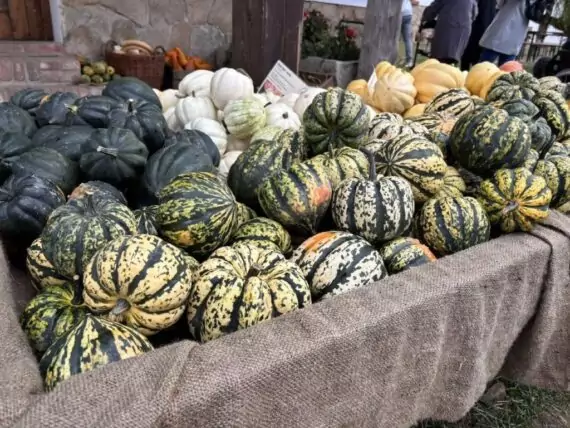 462543747_1281852533001602_7366888897751659634_n