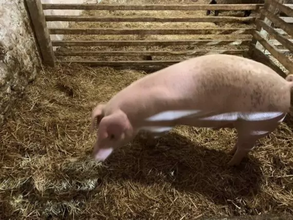 462545865_566008782618577_5300413149714228791_n