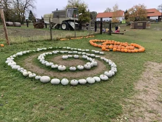 462545958_1485969218782296_5985932370044855067_n