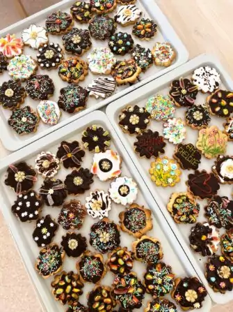 462550608_527094736787293_9018639531259889539_n