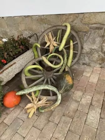 462551589_1098135388546607_2962262248922606341_n