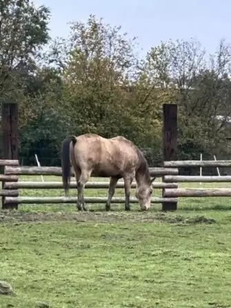 462555100_2549488665251677_870161714512425339_n