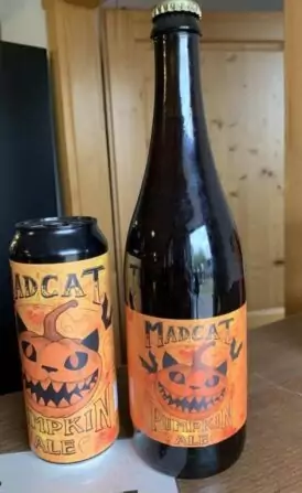 462565923_1260996288363825_1042642681188528625_n