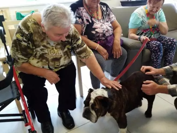 462677707_951741333659568_4220656499811666363_n