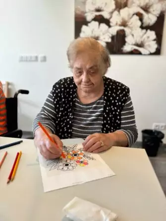 463464699_527593063317020_8435934742443340941_n