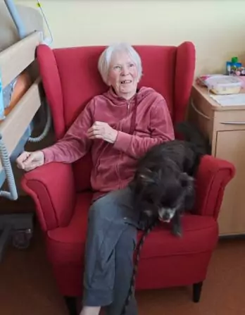 531f0541-6ff6-4036-ba2f-11f4894ad3a1