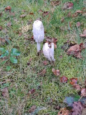 5daf4ec4-e760-4fda-8448-7e30d25ae287