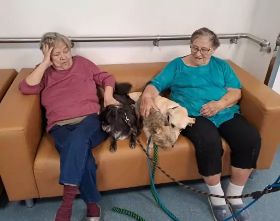 81be598a-4bc4-430b-83d2-f930df4897c6