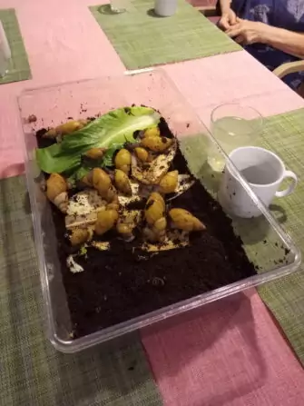 IMG_20240918_093103_692