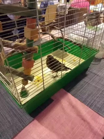 IMG_20240918_093434_626