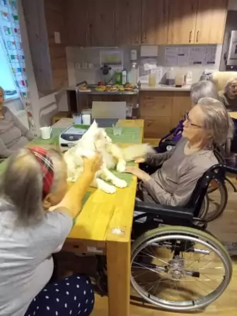 IMG_20240918_093627_798