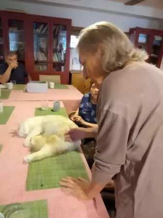 IMG_20240918_110022_443