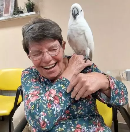 Obrázek WhatsApp, 2024-10-18 v 10.26.59_330e4fba