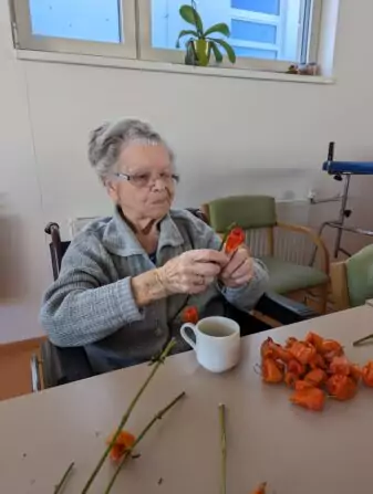 PXL_20241001_075646303