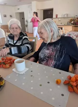 PXL_20241001_075845042