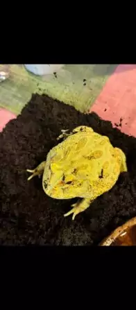 Screenshot_2024-07-30-12-21-26-257_com.miui.gallery