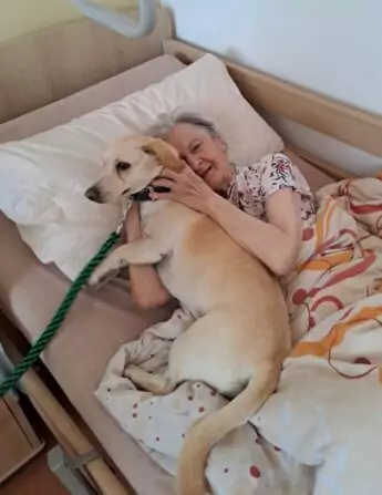 b1af3a1b-a8a8-4cbc-8dd8-a284dfdc4a9d