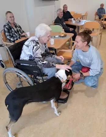 faf2e03a-1f15-485d-9ed2-65599125578f