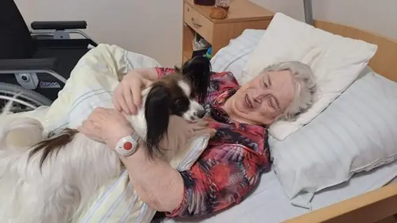 0d49271c-d463-431d-8fb3-190dd1fed892