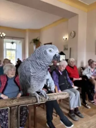 462559151_960434142783705_2381151334786756906_n