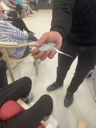 462582481_860506856166671_2983803000591741587_n