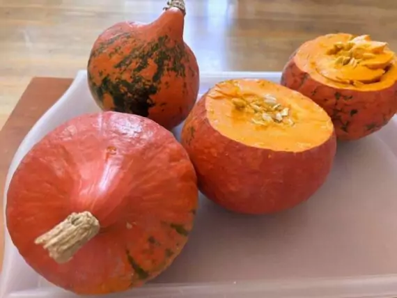 462586107_919248300113248_5479742892841403619_n