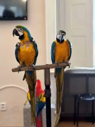 462645910_564265493134874_8855855759267471609_n