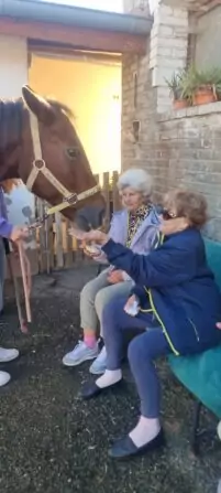 464409179_532017566207903_4395931090898644790_n