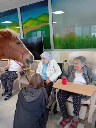 465466407_972832448217123_2817487040650923749_n