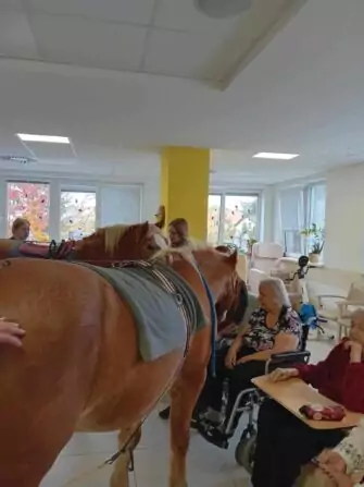 465469149_972832204883814_955869813759331432_n