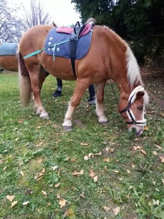 465647714_972834018216966_7404261820971690478_n