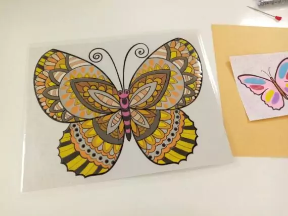 467254092_982052473961787_3378332914741638619_n