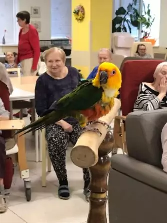 467504331_983644473802587_5203240503563817766_n