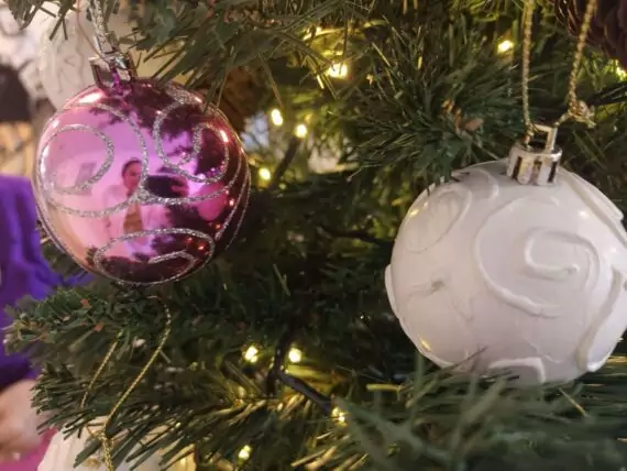 468309892_601031639117422_4644958396244768812_n