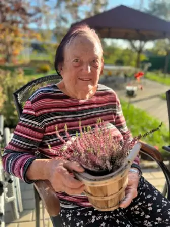 Obrázek WhatsApp, 2024-11-06 v 13.55.20_e4b7d911