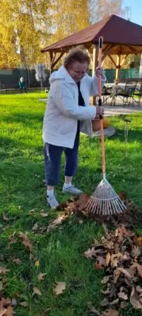 Obrázek WhatsApp, 2024-11-06 v 14.26.08_30383a92